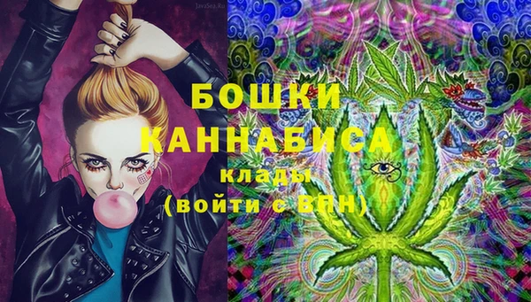 ECSTASY Богданович